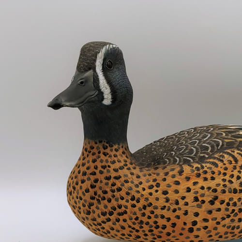 Blue Winged Teal $1900 at Hunter Wolff Gallery